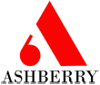 Logo Voyo One